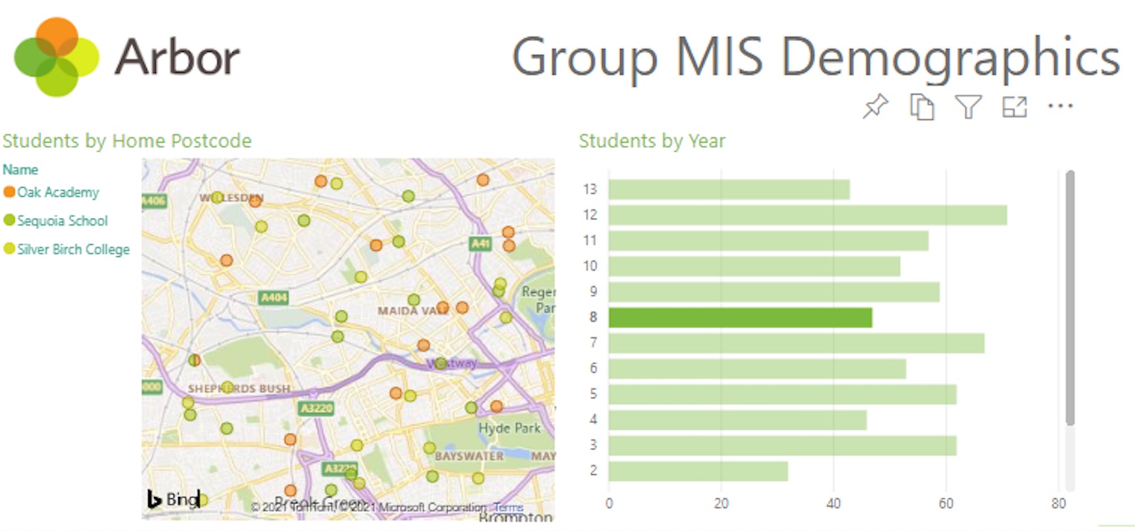demographics-power-bi